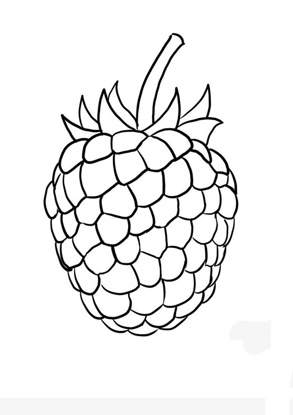 Coloring pages raspberry coloring pages for kids