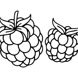 Raspberry coloring pages printable for free download