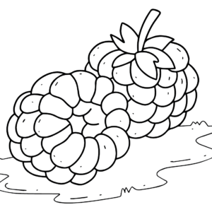 Raspberry coloring pages printable for free download