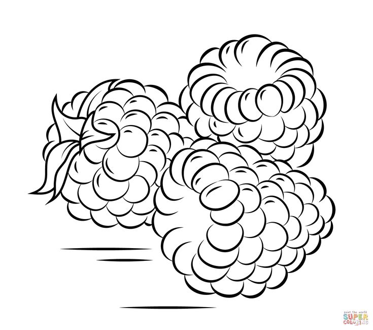 Three raspberries coloring page free printable coloring pages fruit coloring pages coloring pages free coloring pages