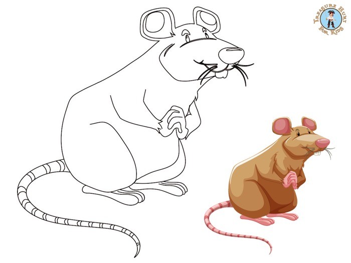 Rat coloring page