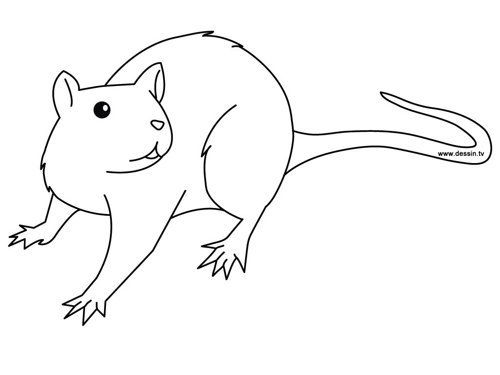 Animal coloring pages coloring pages for kids coloring pages