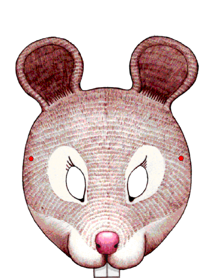 Printable mouse mask