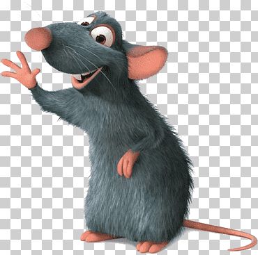 Ratatouille waving his left hand laboratory rat black rat rat race blog rats mammal mouse cartoon png cartoons png black rat mouse illustration