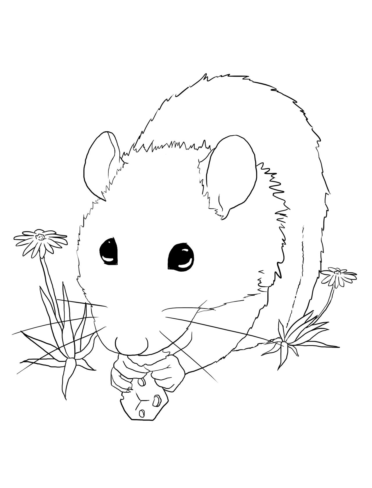 Rat coloring page by starlightabyss on