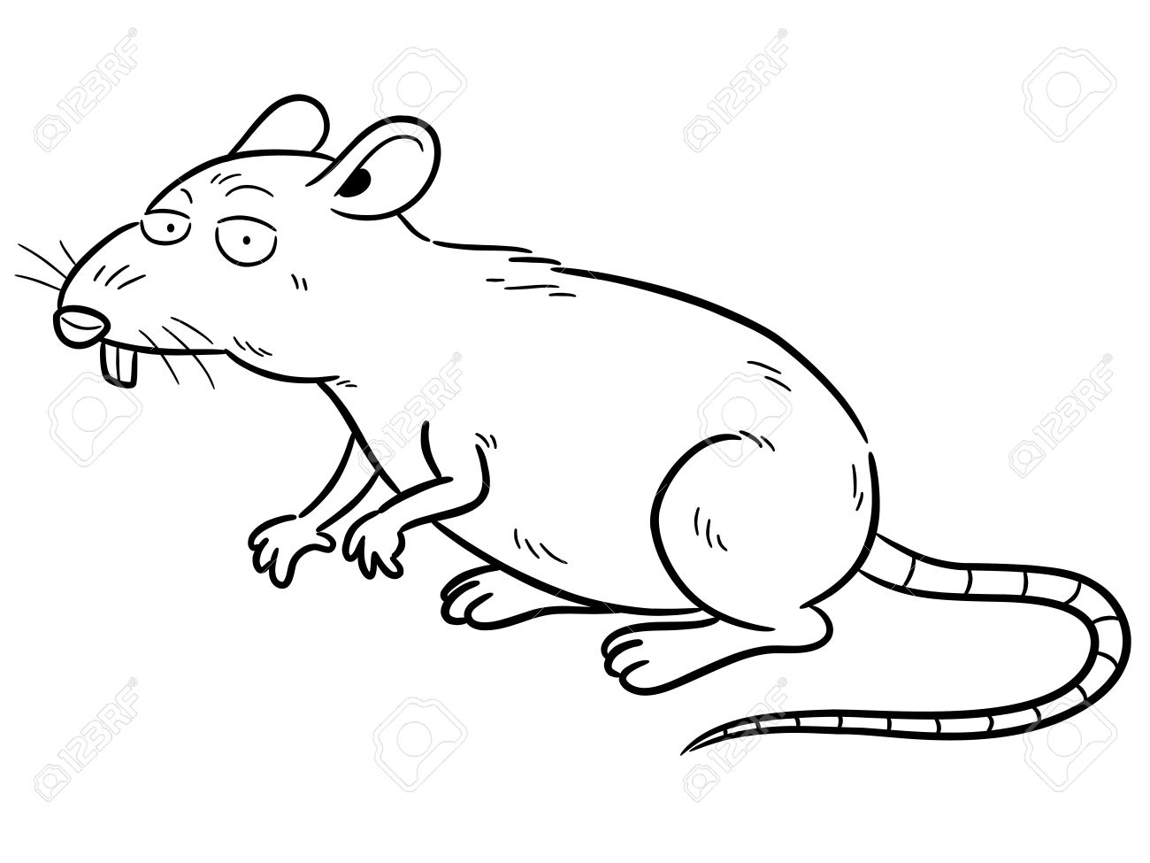 Vector illustration of cartoon rat