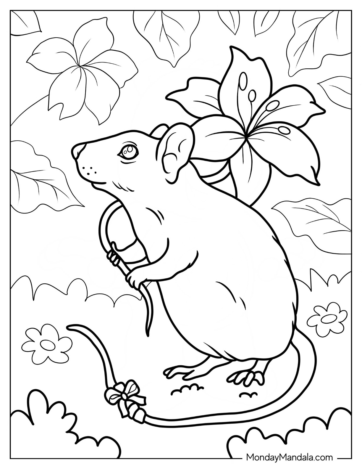 Mouse coloring pages free pdf printables
