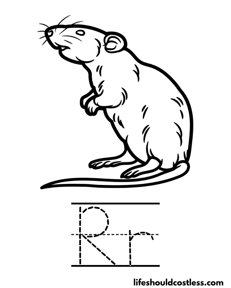 Rat coloring pages free printable pdf templates