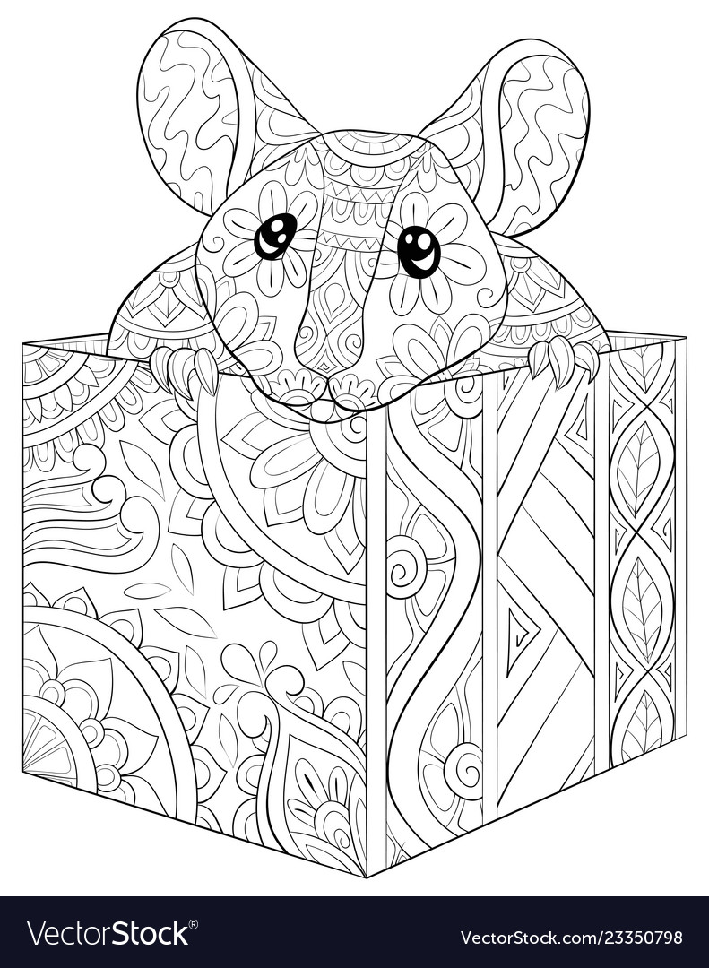 Adult coloring bookpage a cute rat in box image vector image