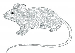 Rat on floral patterns