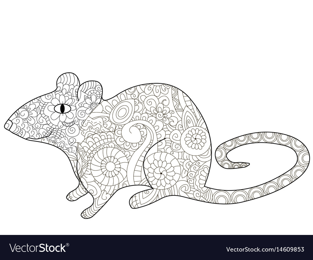 Rat coloring book for adults royalty free vector image