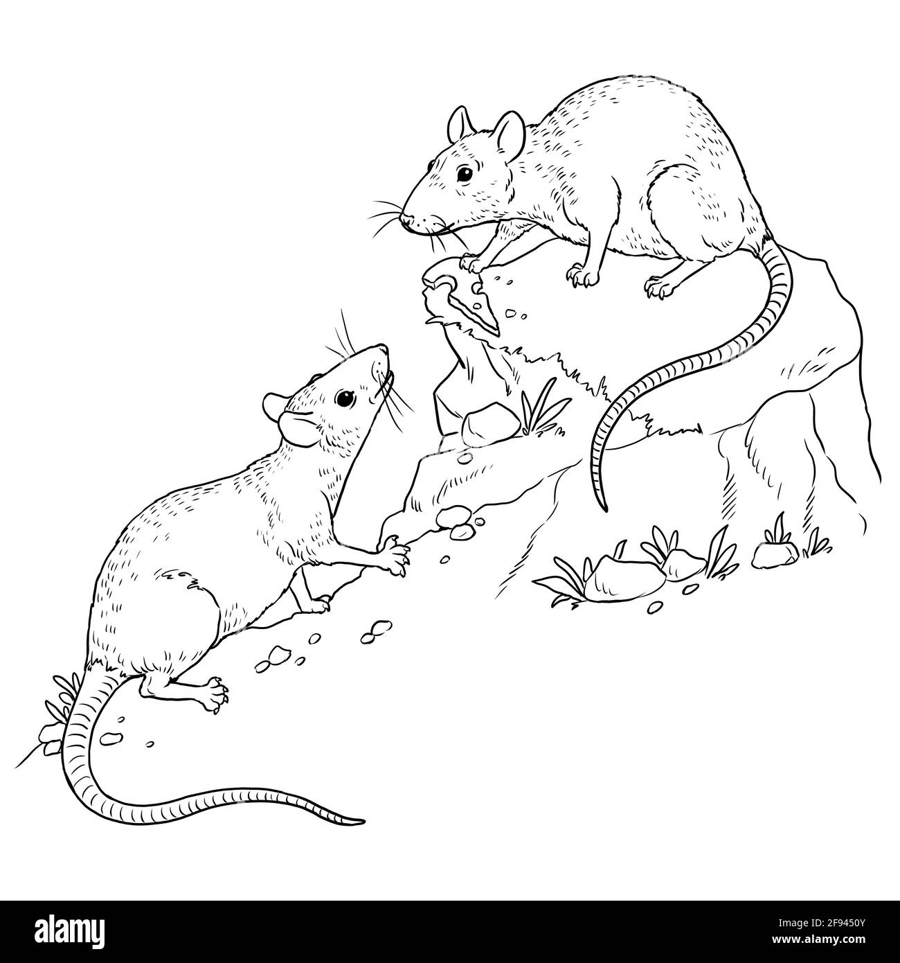 Funny rats funny farm animals template for children to paint coloring book stock photo