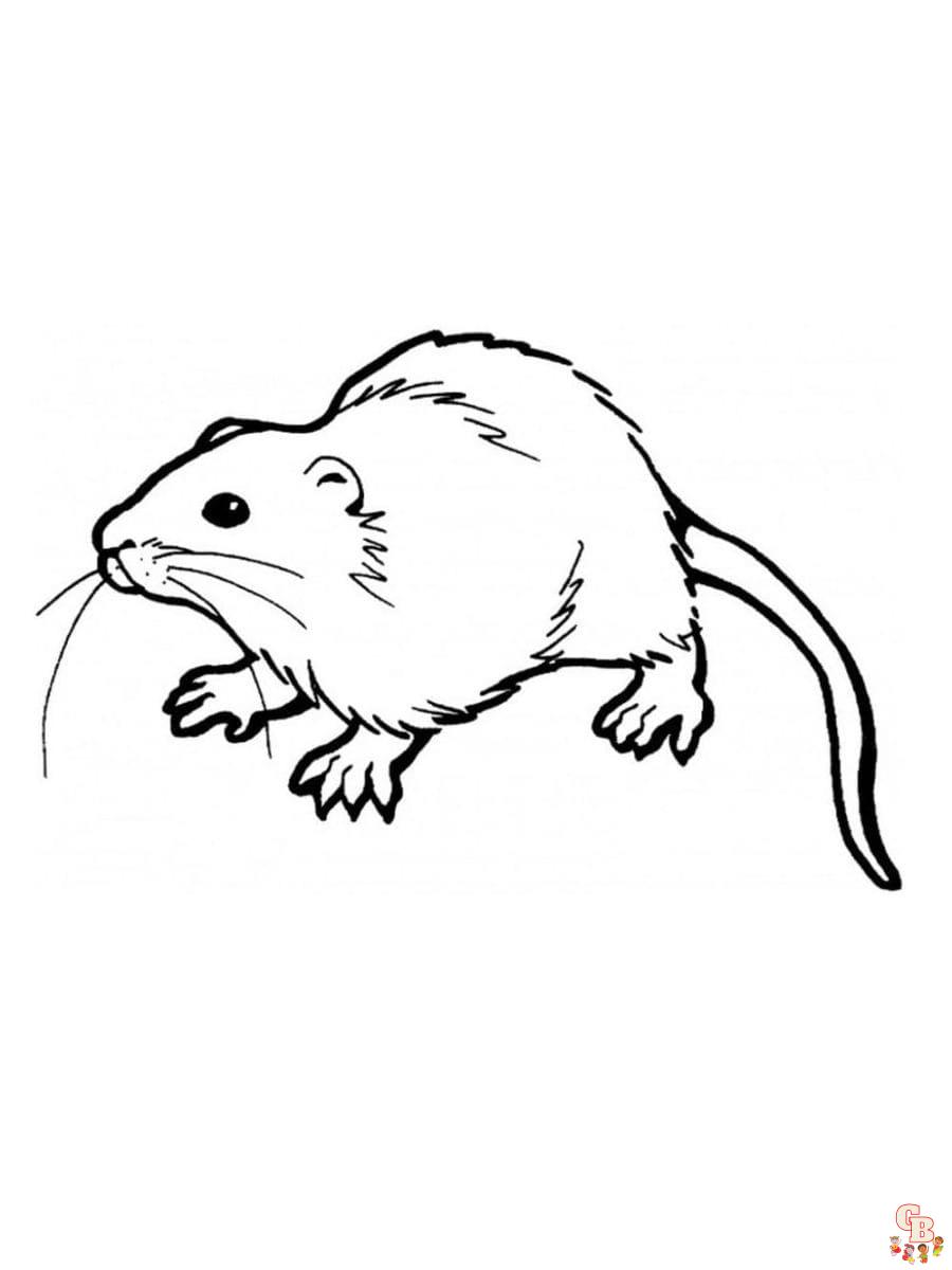 Printable rat coloring pages free for kids and adults