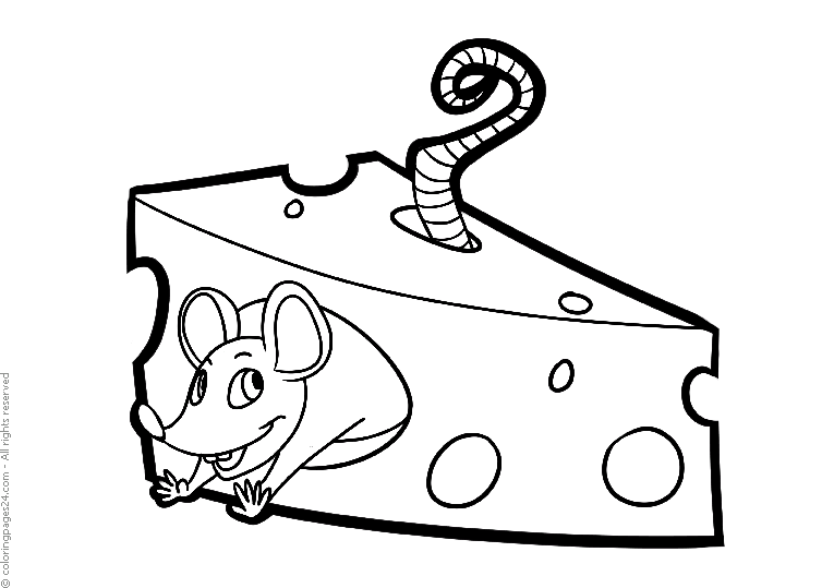 Mice rats coloring pages