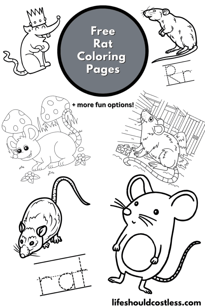 Rat coloring pages free printable pdf templates