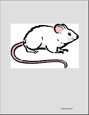 Coloring page rat