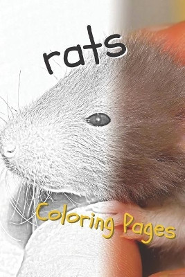 Rat coloring pages beautiful rats drawings for kids and for adults relaxation coloring pages