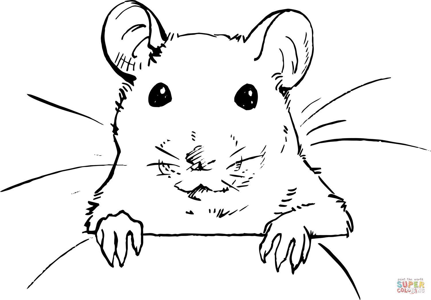 Rat coloring page free printable coloring pages
