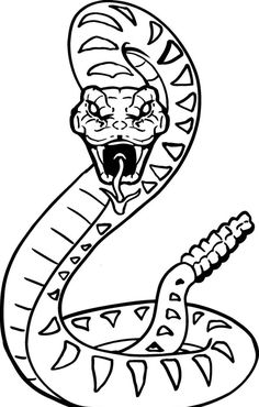 Rattler ideas rattlesnake snake art snake drawing