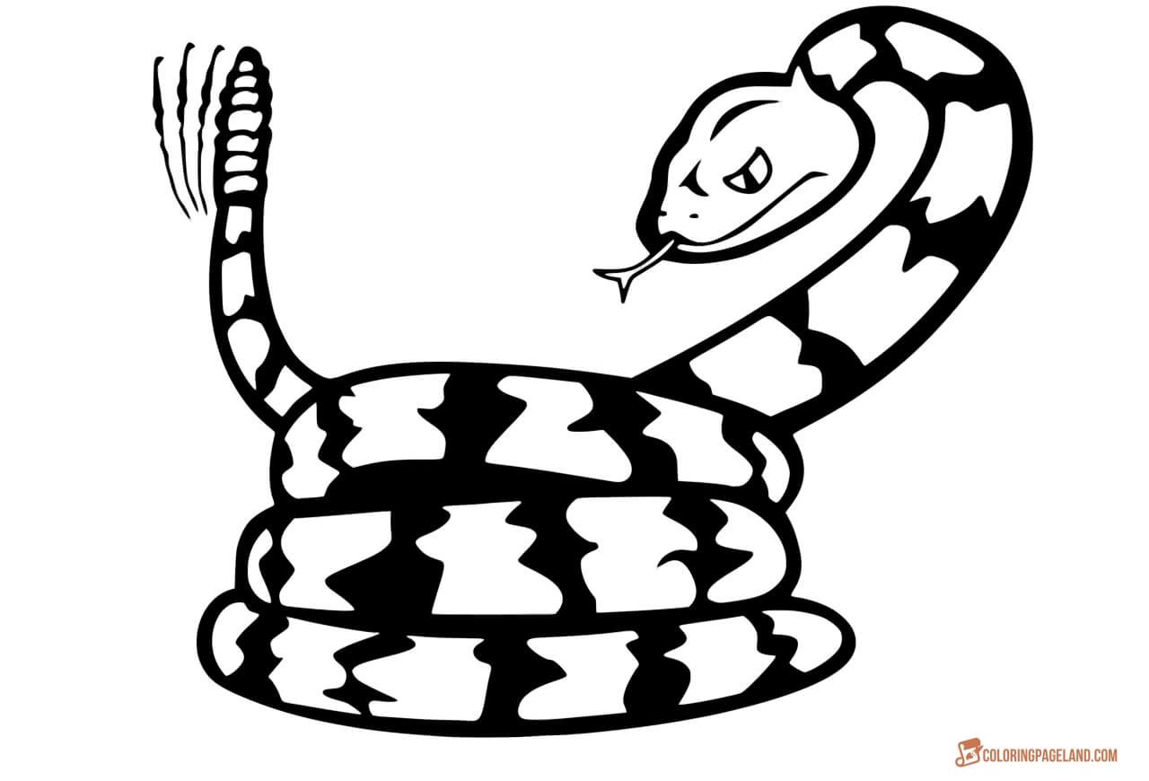 Snake coloring pages