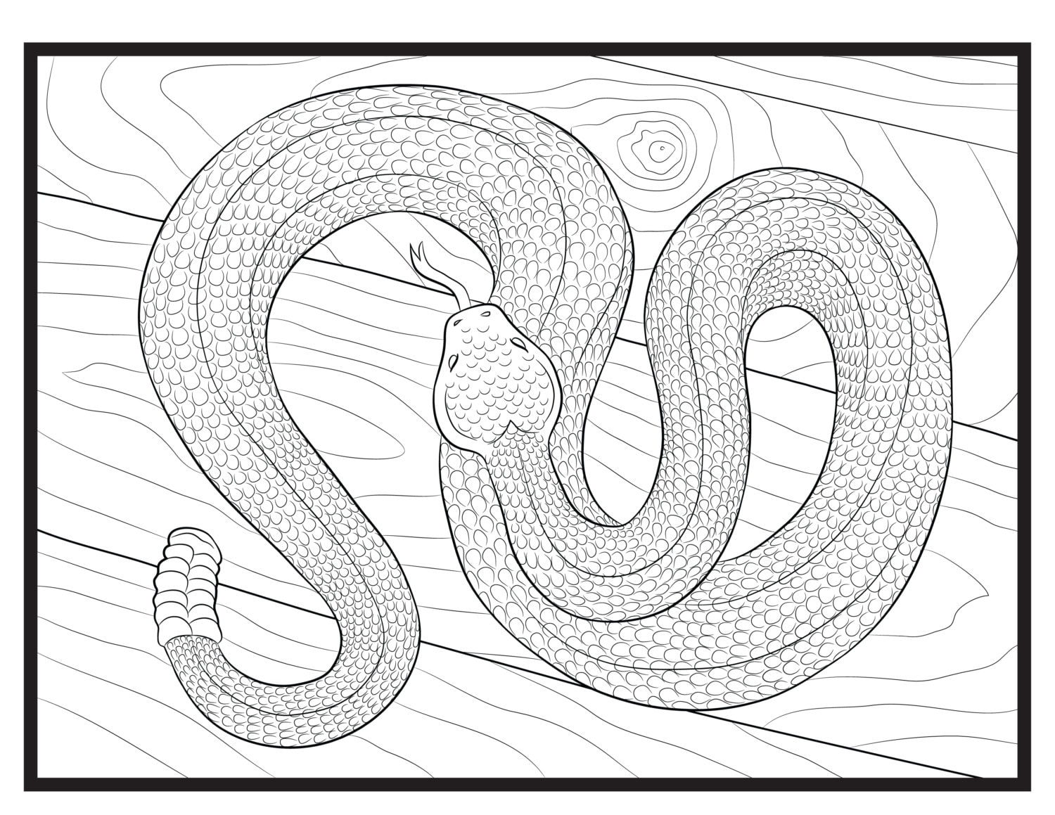 Snake single coloring page instant download