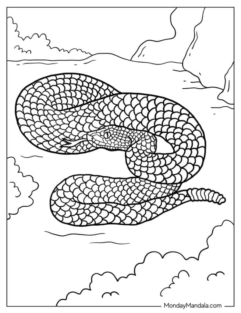 Snake coloring pages free pdf printables