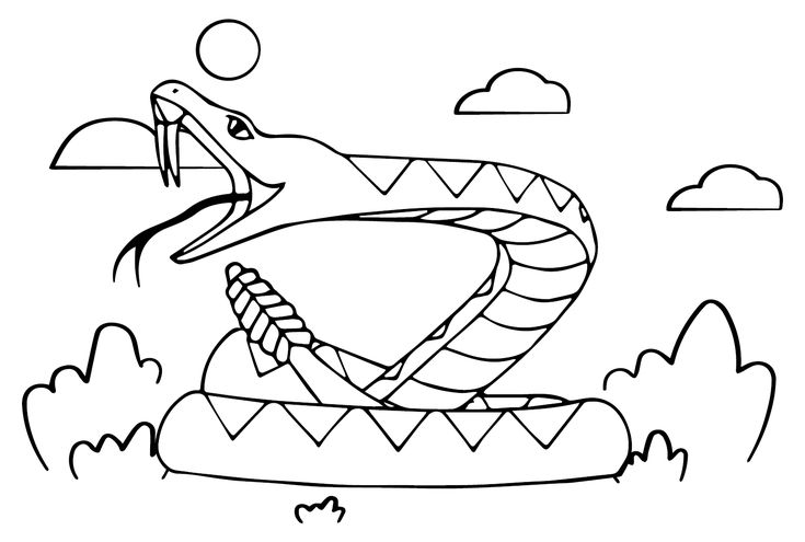 Rattlesnake coloring pages