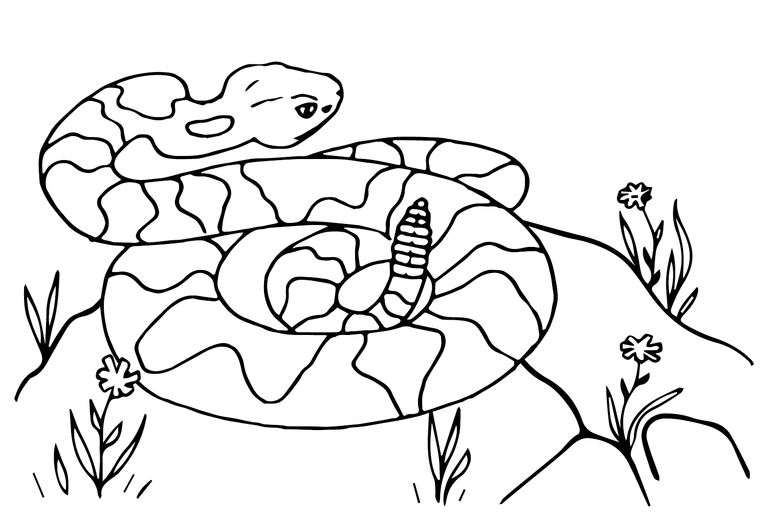 Rattlesnake coloring pages