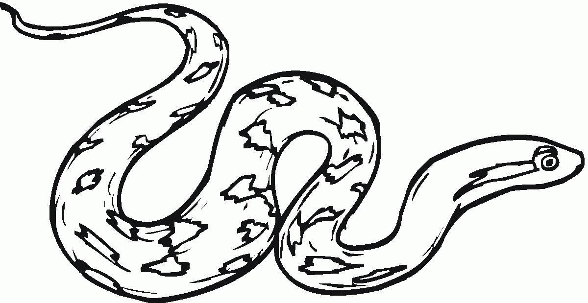 Rattle snake coloring pages