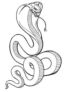 Simple snake coloring page