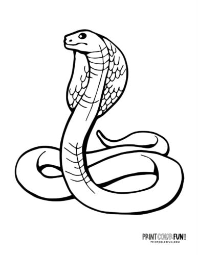 Snake coloring pages and clipart at