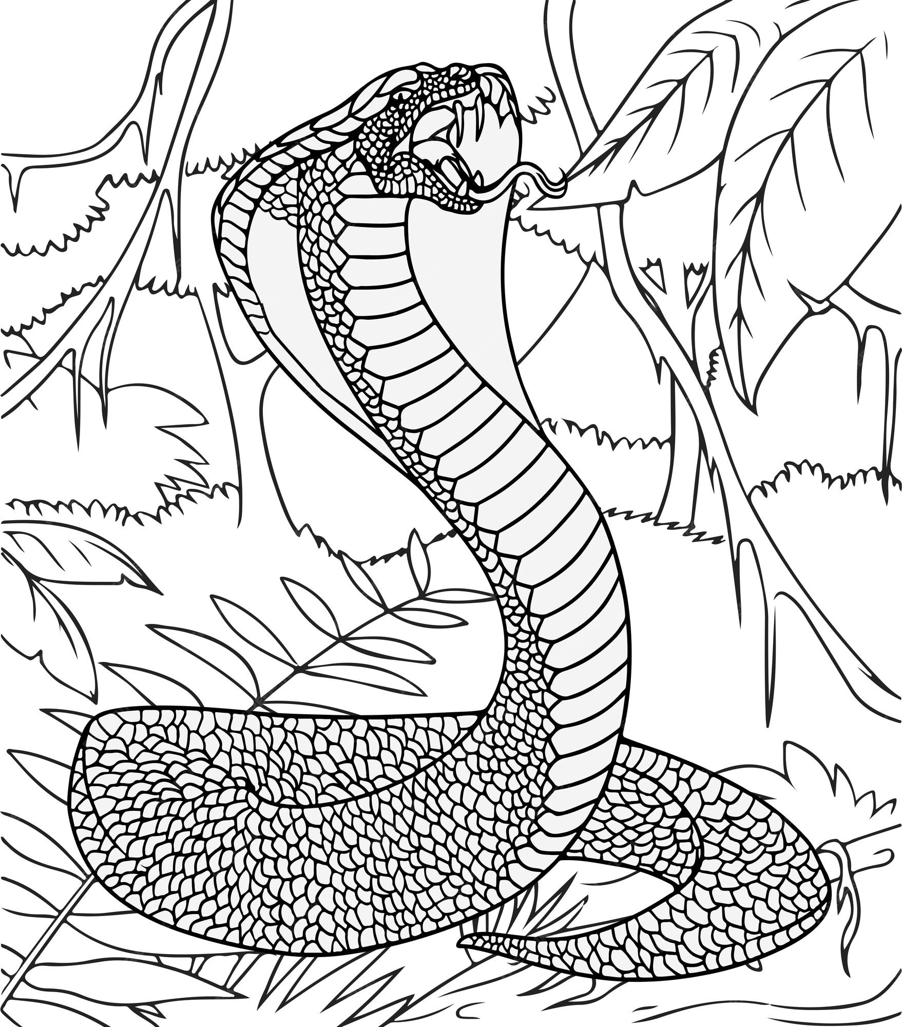 Premium vector snake in the jungle coloring page