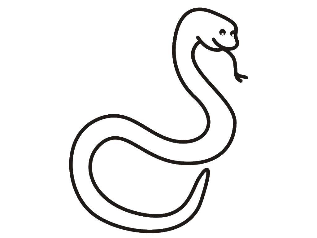 Online coloring pages coloring page snake animals download print coloring page