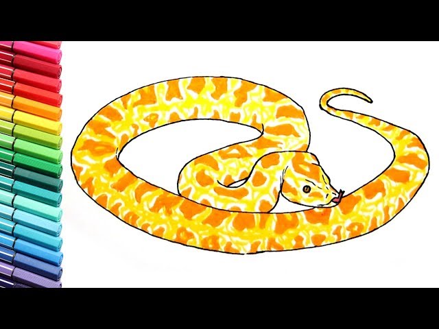 Snake coloring pages for kids