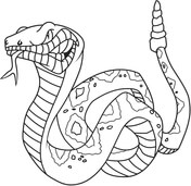 Rattlesnake coloring pages free coloring pages