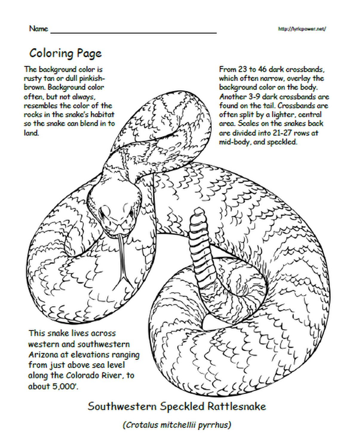 My coloring book about rattlesnakes of the united states gr k