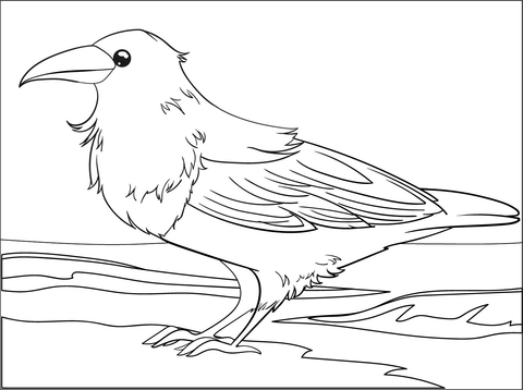 Raven coloring page free printable coloring pages