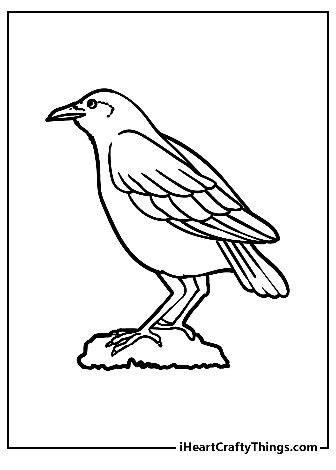 Raven coloring pages free printables