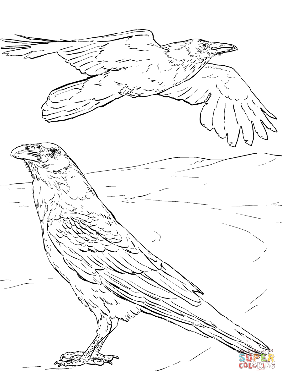 Mon raven coloring page free printable coloring pages