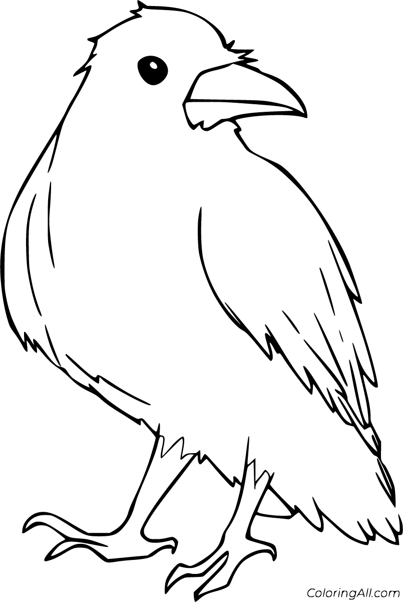 Free printable raven coloring pages in vector format easy to print from any device and autâ raven color easy animal drawings adult coloring books printables
