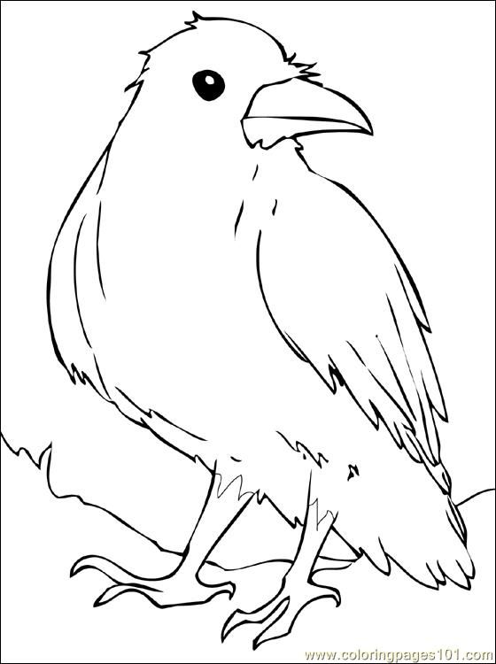 Vehicles coloring pages bird coloring pages coloring pages mermaid coloring pages
