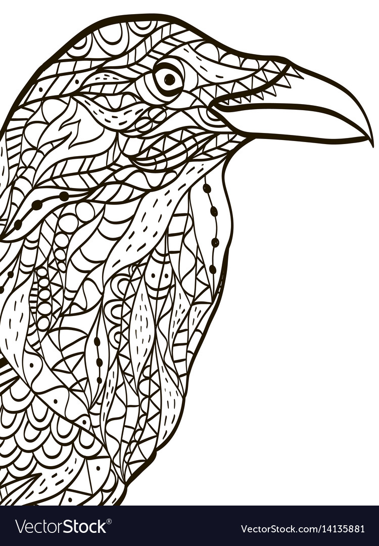 Bird head raven coloring book for adults vector image