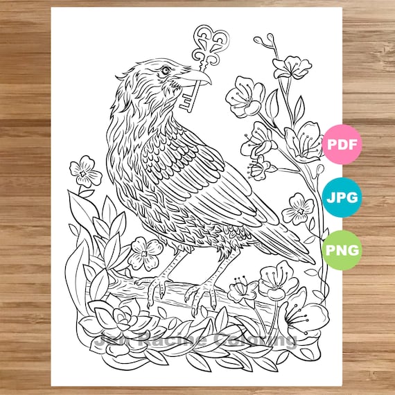 Raven coloring page magical animal animal art coloring