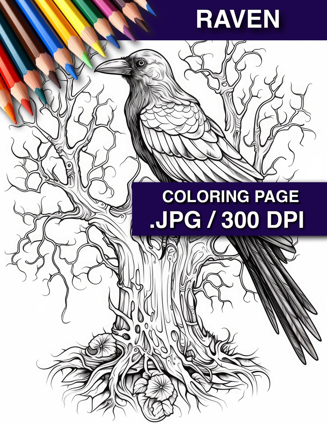 Raven coloring page witchy decor bird coloring sheet witchy academia coloring book stress relief nature art bird instant download