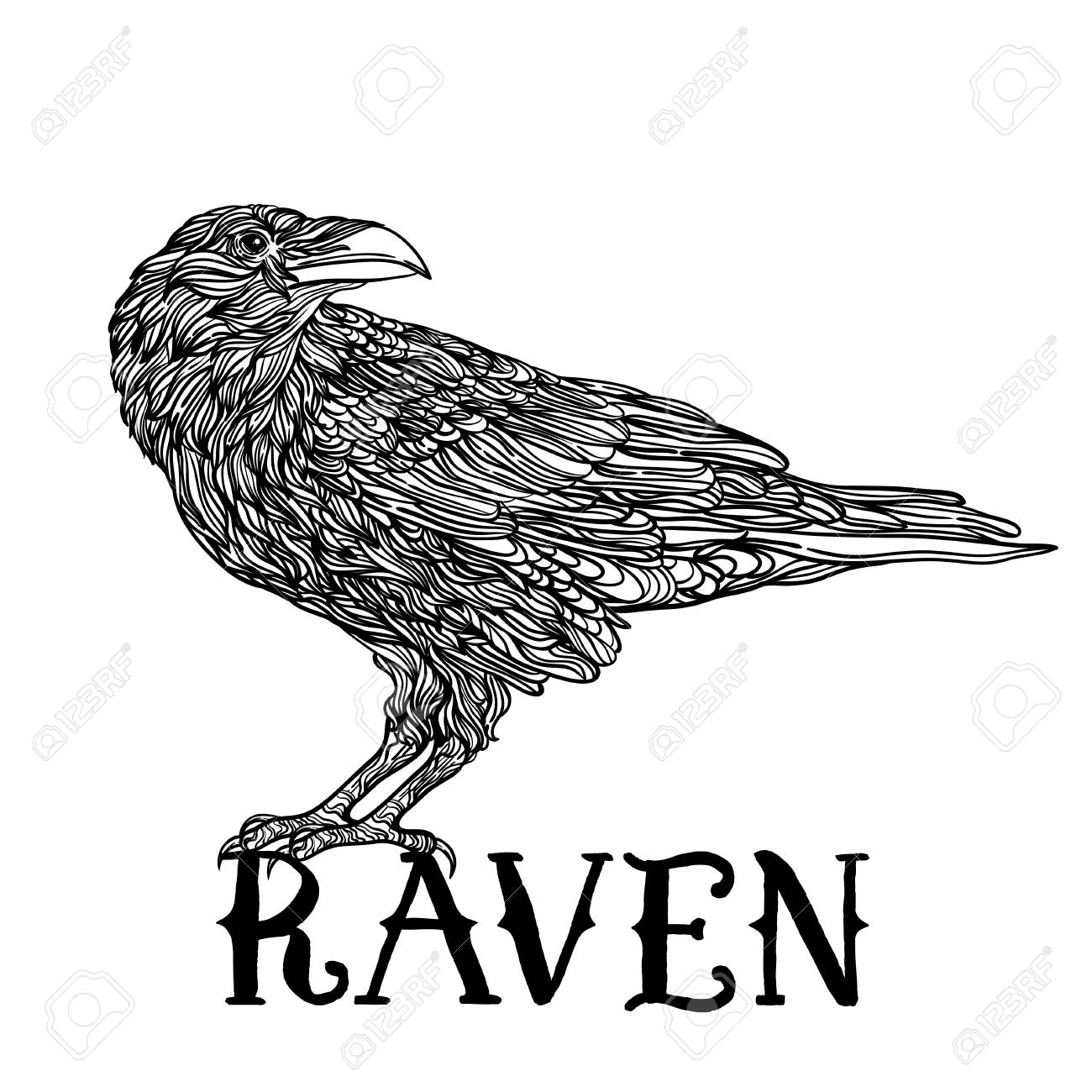 Bird raven zentangle style good for t