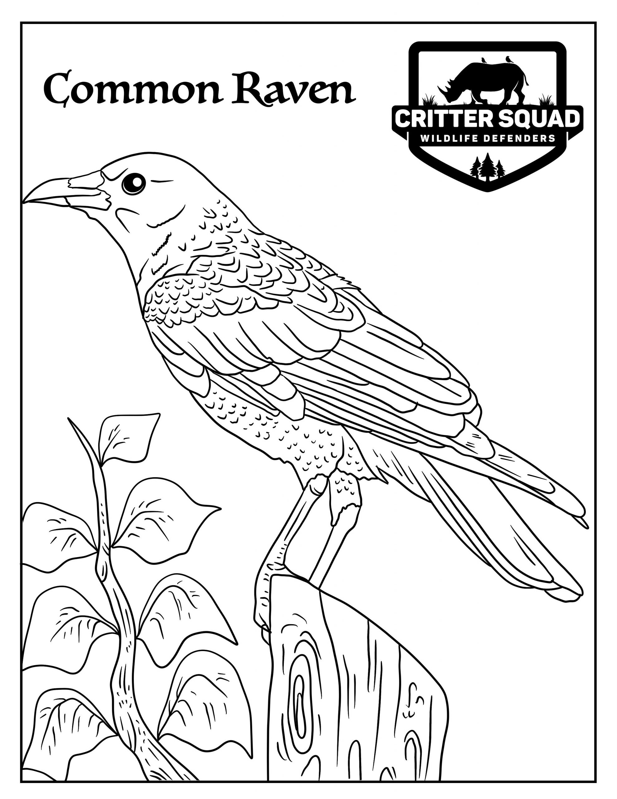 Mon raven coloring page