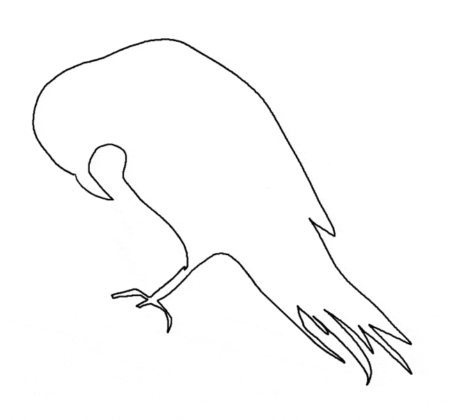 Raven coloring page