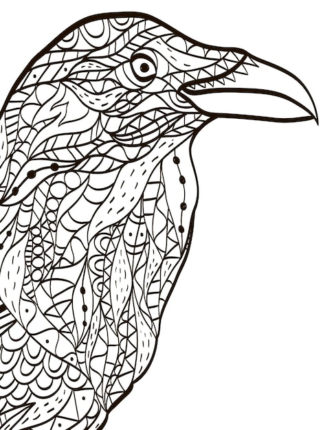 Premium vector bird head raven coloring book for adults vector