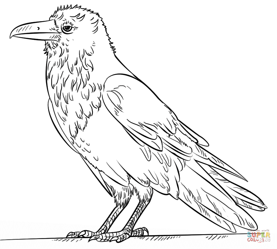 Mon raven coloring page free printable coloring pages