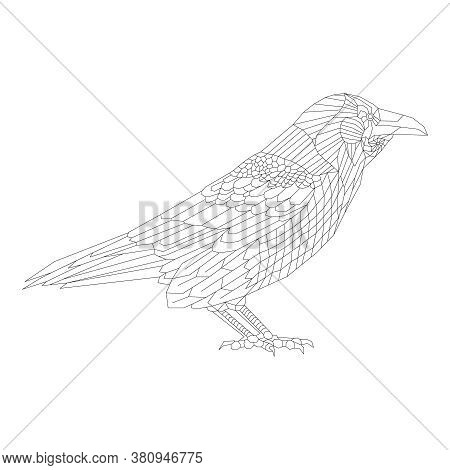 Lines drawn raven vector photo free trial bigstock